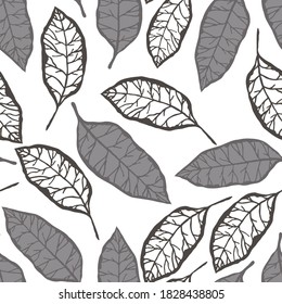 Patrón creativo sin fisuras con hojas tropicales. Patrón de moda con plantas exóticas dibujadas a mano. Diseño botánico de bañador. Impresión veraniega exótica de la jungla.