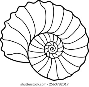 Creative Seashell Spiral Line Art Vector Illustration