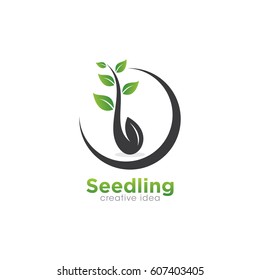 Creative Seed Concept Logo Design Template