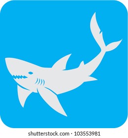 Creative Shark Icon