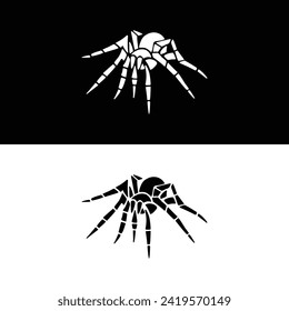 Creative silhouette of Spider insect black and white colors