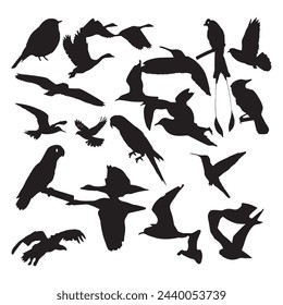 Creative  Silhouette Vector Of Flying Seagulls In The Air Black Colored Fully Scalable.