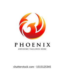 creative simple phoenix bird circle logo concept