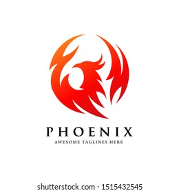 creative simple phoenix bird circle logo concept