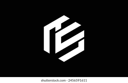 creative simple vector design initial TS logo