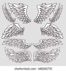 Creative sketchy wings set. Vector illustration
