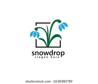 creative snowdrop flowers logo, two blue snowdrops in a frame, logo design template