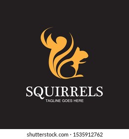 creative squirrel animal logo design icon symbol illustration-vector