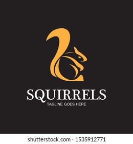 creative squirrel animal logo design icon symbol illustration-vector