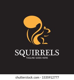 creative squirrel animal logo design icon symbol illustration-vector