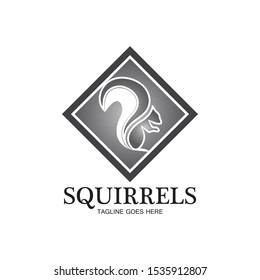creative squirrel animal logo design icon symbol illustration-vector