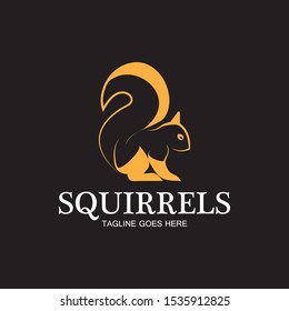 creative squirrel animal logo design icon symbol illustration-vector