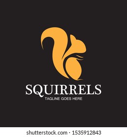creative squirrel animal logo design icon symbol illustration-vector
