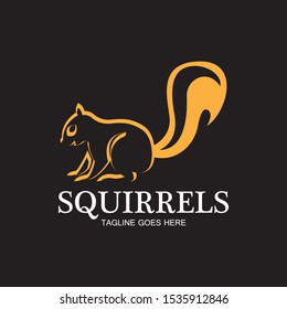 creative squirrel animal logo design icon symbol illustration-vector