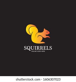 creative squirrel animal logo design icon symbol illustration-vector