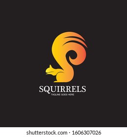 creative squirrel animal logo design icon symbol illustration-vector