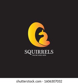 creative squirrel animal logo design icon symbol illustration-vector