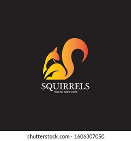 creative squirrel animal logo design icon symbol illustration-vector
