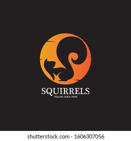 creative squirrel animal logo design icon symbol illustration-vector