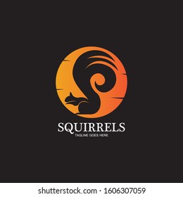 creative squirrel animal logo design icon symbol illustration-vector