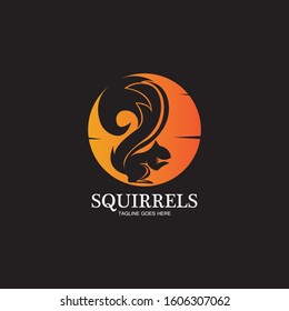 creative squirrel animal logo design icon symbol illustration-vector