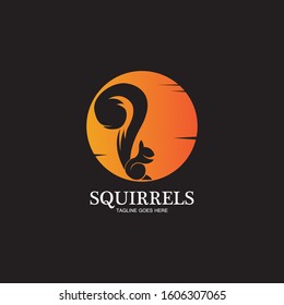 creative squirrel animal logo design icon symbol illustration-vector