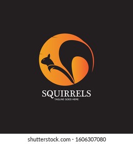 creative squirrel animal logo design icon symbol illustration-vector