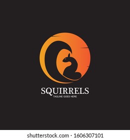 creative squirrel animal logo design icon symbol illustration-vector