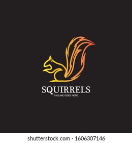 creative squirrel animal logo design icon symbol illustration-vector