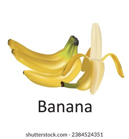 Creative and stunning Banana vector illustration.