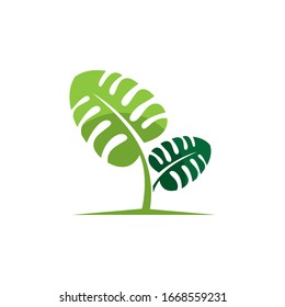 El taro creativo deja la ilustración del logo.