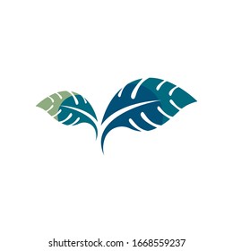 El taro creativo deja la ilustración del logo.
