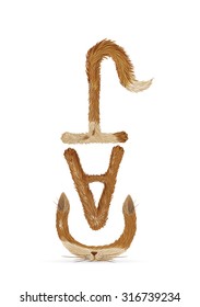 creative text "cat"  with funny fluffy spot letters ears, tail, paws on white background, red cat letters, vector