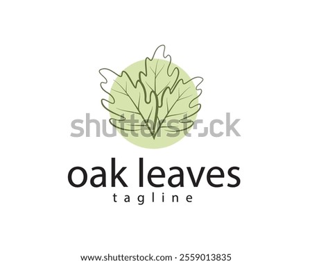 creative three oak leaves with line concept logo design