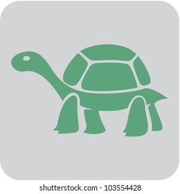 Creative Tortoise Icon