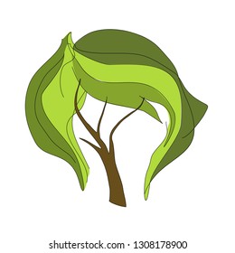 Creative tree with foliage in the form of hairstyles hair. Formation of the crown of the tree for cutting. Laying the habit of the crown of the tree as a haircut