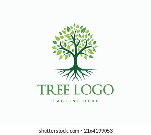 Creative Tree Logo Design Vector Illustration.
