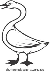 Creative Tundra Swan Illustration