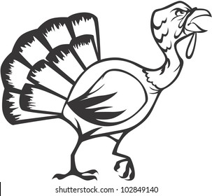 Creative Turkey Illustration