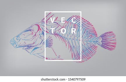 creative, unique, colorful background of fish skeleton, with blue-pink gradient lines.