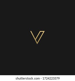 Creative unique stylish V initial based letter icon logo