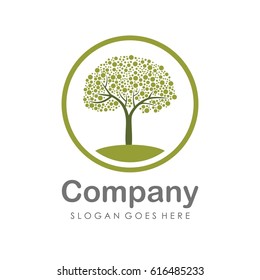 Creative and unique tree logo vector 