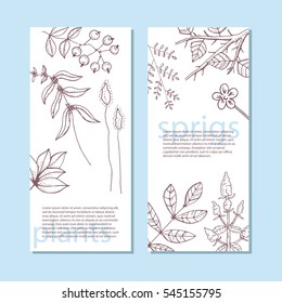 creative universal card with plants. banners with branches. vector illustration