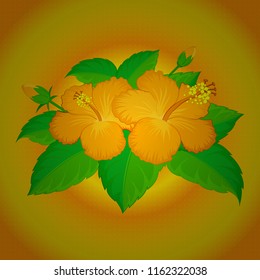 Creative universal floral pattern in green, orange and yellow colors. Vector seamless pattern of hibiscus flowers. Ideal for web, card, poster, fabric or textile. Hand Drawn tropical style texture.