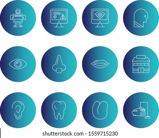 creative universal icon set of 12
 