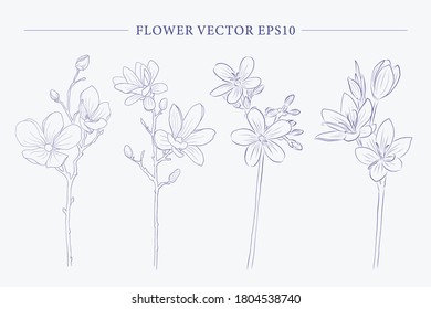 Drawing Flowers Poppy Cosmos Cherry Blossom Stock Vector (Royalty Free ...