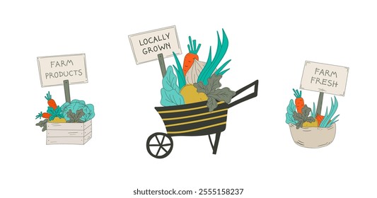 Creative vector illustration of 3 farmers market objects. Featuring wheelbarrow, big bag, box, all fulfilled with bountiful fresh vegetables hand drawn in flat style. All isolated on white background.
