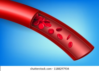 Creative vector illustration of artery red blood cells stream flow, microbiological medical erythrocyte vessel isolated on background. Art design medicine. Abstract concept graphic science element