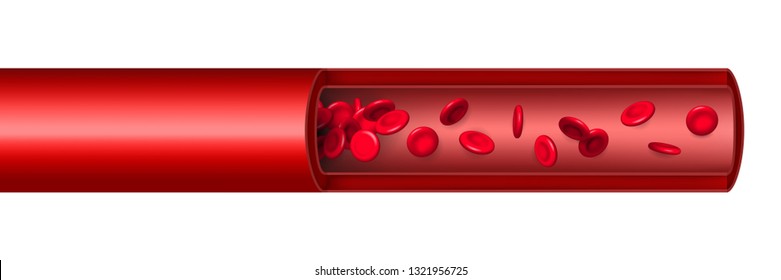 Creative Vector Illustration Of Artery Red Blood Cells Stream Flow, Microbiological Medical Erythrocyte Vessel Isolated On Background. Art Design Medicine. Abstract Concept Graphic Science Element