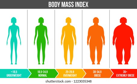 Bmi Chart High Res Stock Images Shutterstock
